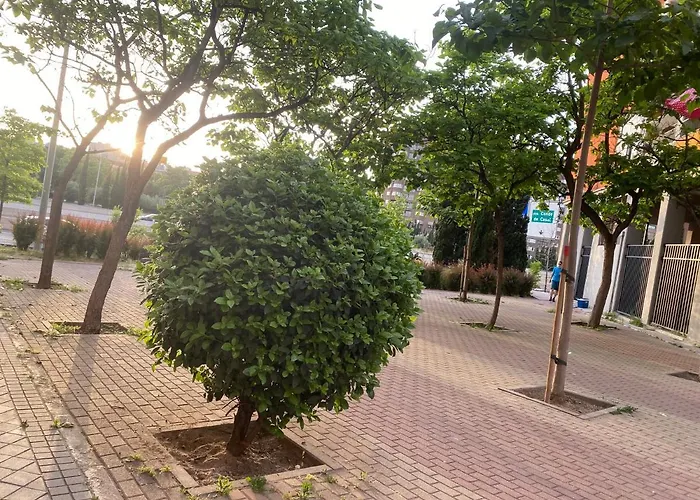 Cosmopolita d Zona Centrica